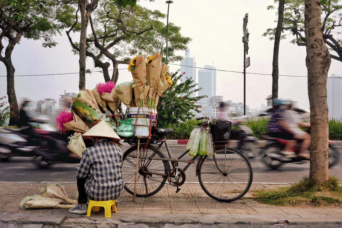 Flower seller and sunflower-laden bicycle amid Hanoi traffic Flower seller and sunflower-laden bicycle amid Hanoi traffic
