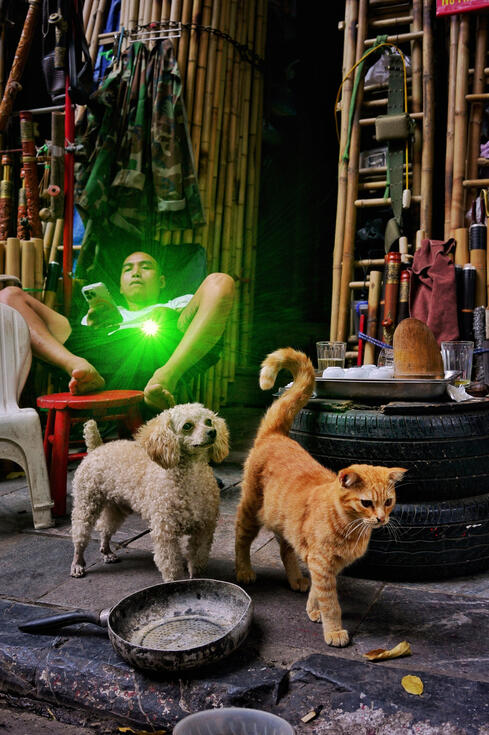 Man on his phone in a hammock with his dog and cat, Hanoi Man on his phone in a hammock with his dog and cat, Hanoi